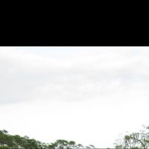 Meet your Posher, Hailey